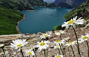 Ai rifugi e laghi del Barbellino…spettacolo assicurato ! L’8 luglio 2015 - FOTOGALLERY